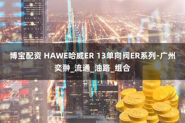 博宝配资 HAWE哈威ER 13单向阀ER系列-广州奕翀_流通_油路_组合